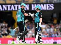 挡住阿叶的 挡住阿叶的